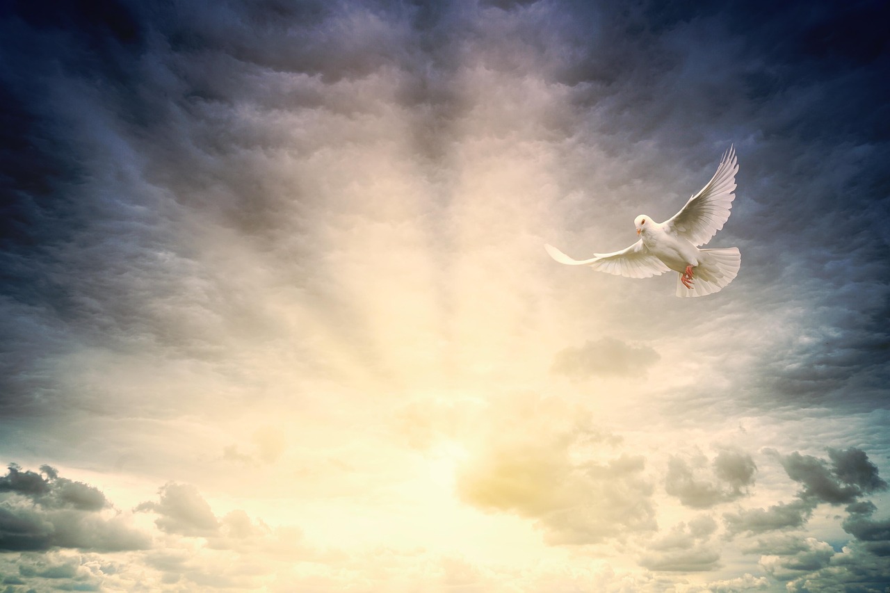 light, peace, hope, pentecost, sunbeams, clouds, bright, nature, day, landscape, heaven, trust, spirituality, religion, christian, message, faith, pray, holy spirit
